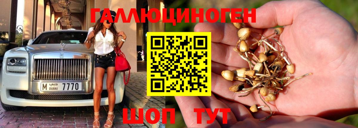 Галлюциногенные грибы мицелий Кострома